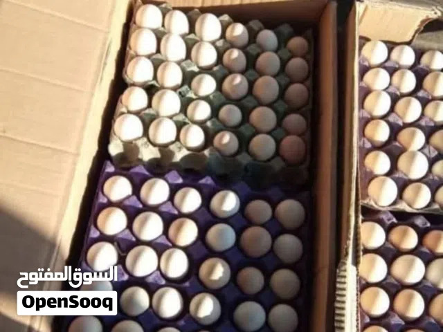 مطلوب بيض دجاج فسيفس بط وز شعندك اشتري
