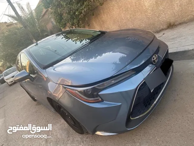 New Toyota Corolla in Baghdad