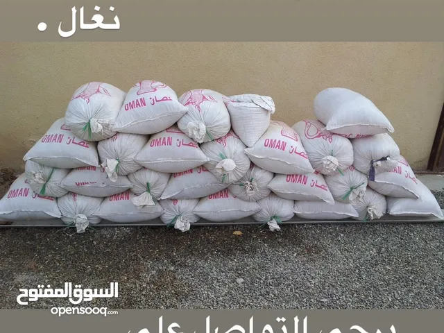 تمور للمواشي