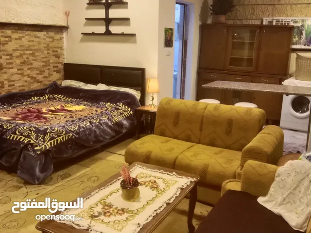 40 m2 Studio Apartments for Rent in Amman Jubaiha