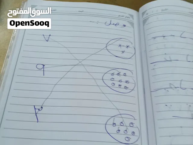 معلمه مصريه لتاسيس الاطفال وجميع الصفوف الأبتدائية