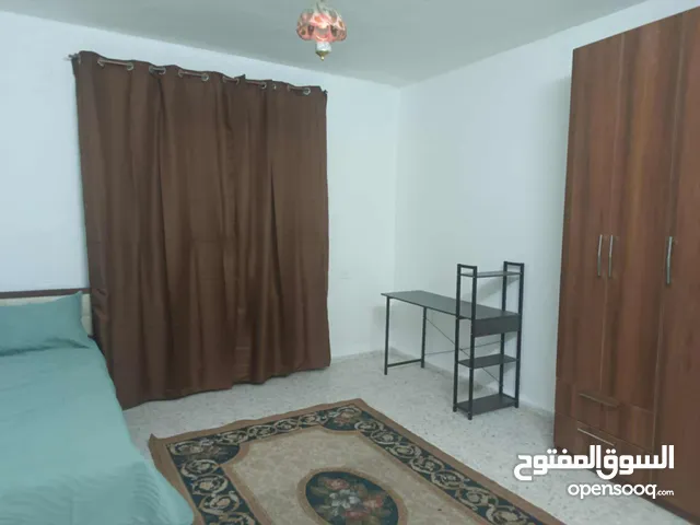 يوجد شقة سكن طالبات للايجار