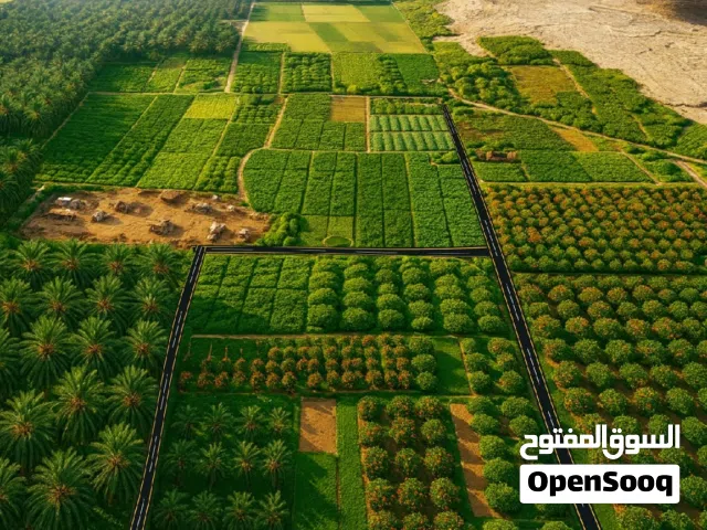 Farm Land for Sale in Salt South Shuna