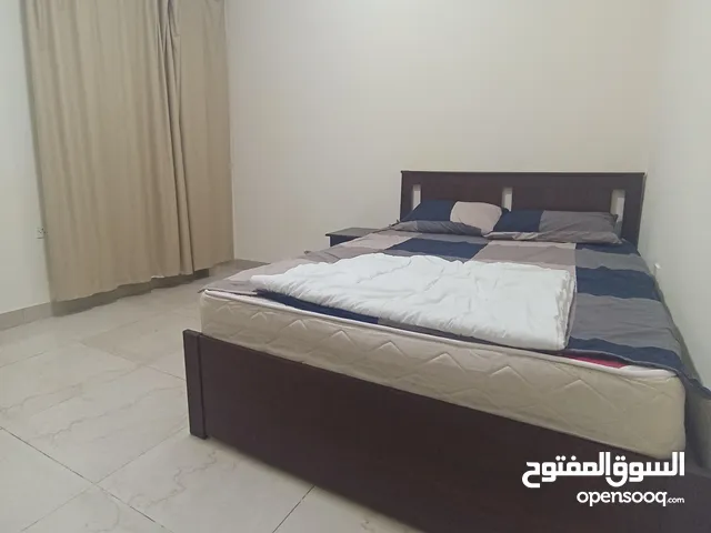 Executive male Bachelor's Room Available
