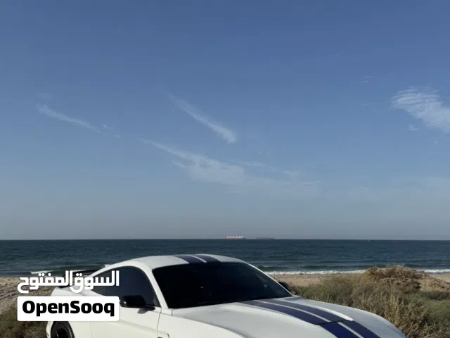 FORD MUSTANG GT 5.0
