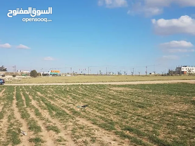 ارض للبيع في رجم عميش