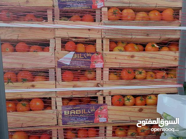 افضل استثمار اسلامي