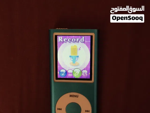 iPod Nano (WORKS WHILE CHARGING)