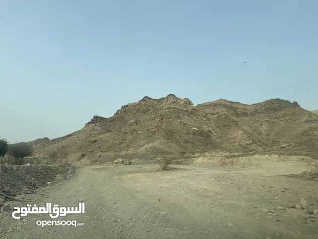 Farm Land for Rent in Ras Al Khaimah Other