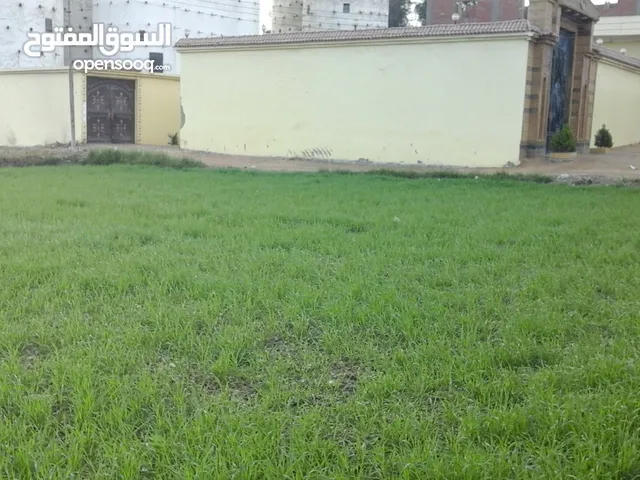 Mixed Use Land for Sale in Zagazig Other