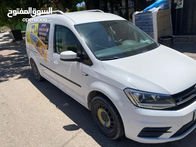معاذ ابو المجد