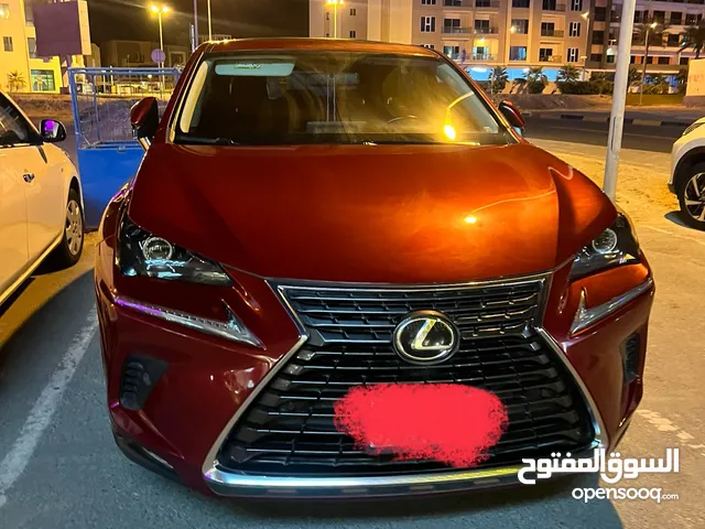 Lexus NX 300 2020