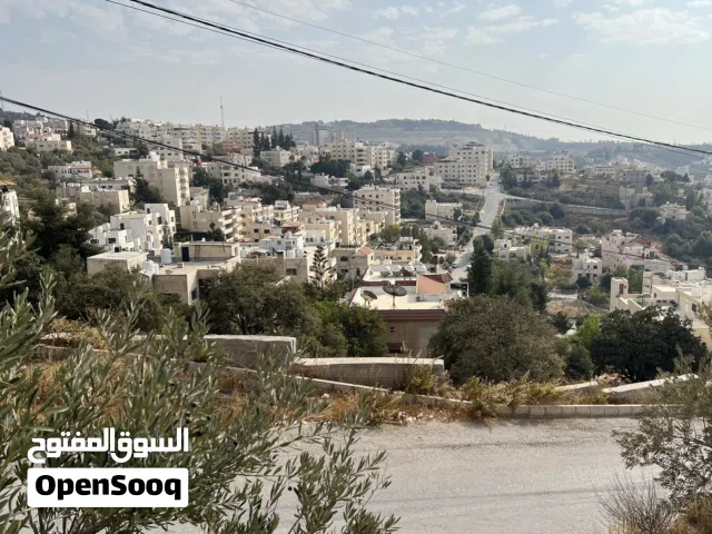 ارض في الفحيص دونم مميزه باطلاله خلابه