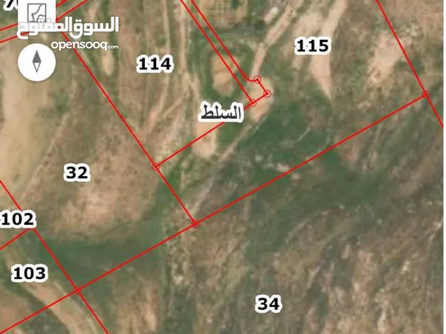 Farm Land for Sale in Salt Al Zohour