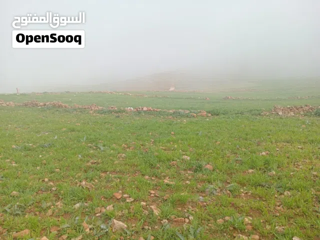 Mixed Use Land for Sale in Mafraq Hayyan Al Moshref