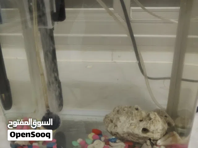 aquarium used