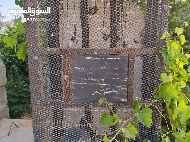 قفص عصافير للبيع الطول ميترو وعشرين العرض 40 سانتي