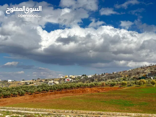 Farm Land for Sale in Zarqa Birayn