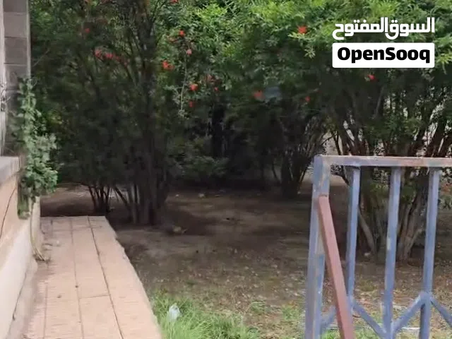 فله دور واحد