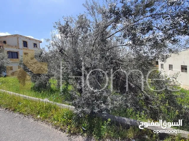 Residential Land for Sale in Amman Badr Jdedeh