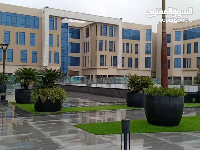 اول مدينة رعاية بية في مصر