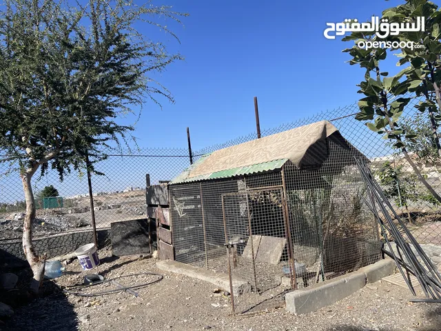 قفص طيور للبيع