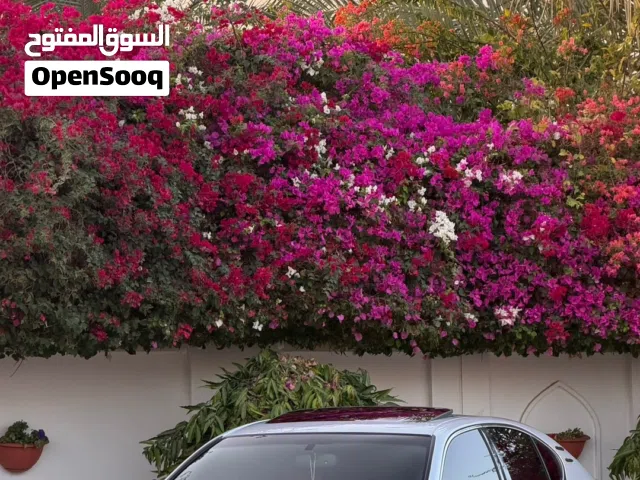 2015 لكزس GS GS 350