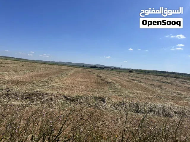 Mixed Use Land for Sale in La Manouba Other