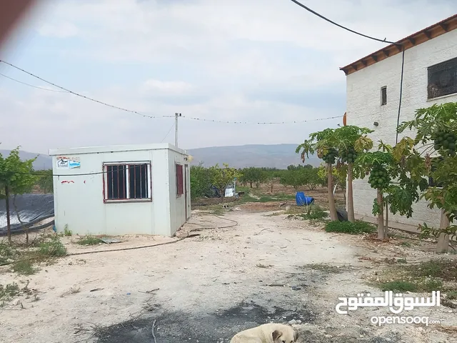 More than 6 bedrooms Farms for Sale in Irbid North Shuna