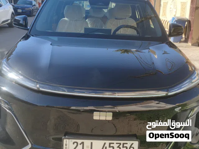 2025 جيلي اخرى