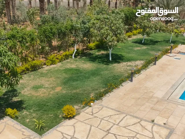 120 m2 3 Bedrooms Apartments for Rent in Cairo Gardenia City
