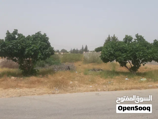 قطعة ارض مستطيلة بـ 3 واجهات في منطقة خلة الحبايبية جنوب الباعيش تاجوراء الجنوبي