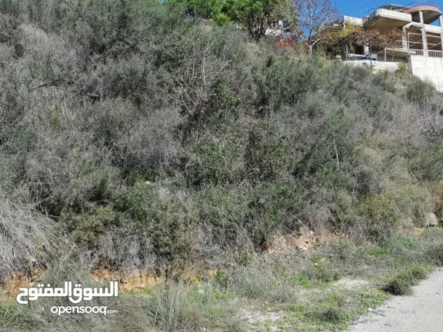 3400 SQM Land for sale in Deir El Qamar Chouf