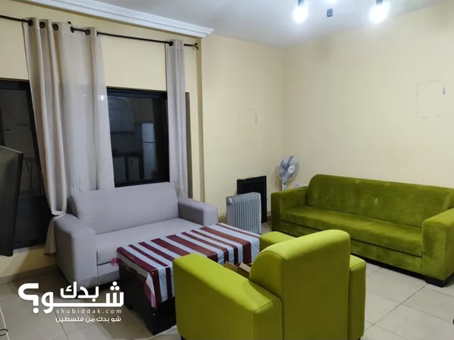 50m2 Studio Apartments for Rent in Ramallah and Al-Bireh Ein Musbah