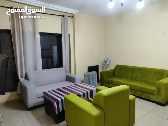 50 m2 Studio Apartments for Rent in Ramallah and Al-Bireh Ein Musbah