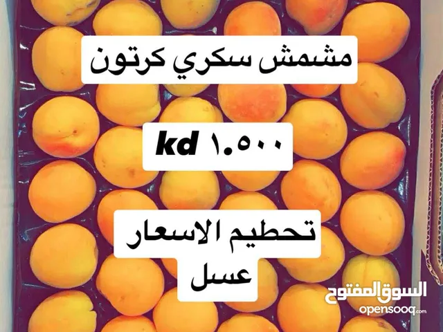 عروض يوم الخميس والجمعه 19/20/6/2035
