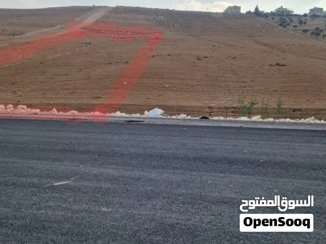أرض استثماريه للبيع في جريبا الزرقاء بالقرب من شفا بدران