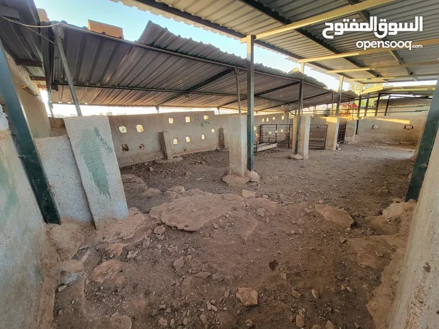 4 Bedrooms Chalet for Rent in Zarqa Al-Bustan
