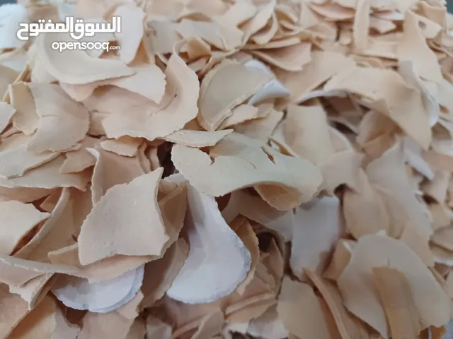 ورقة الخثارة کلاونگ