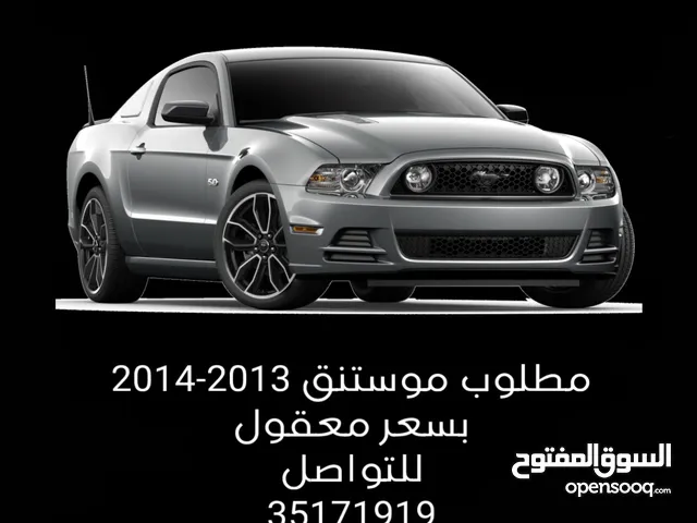 مطلوب موستنق 2013 - 2014 - Looking for mustang