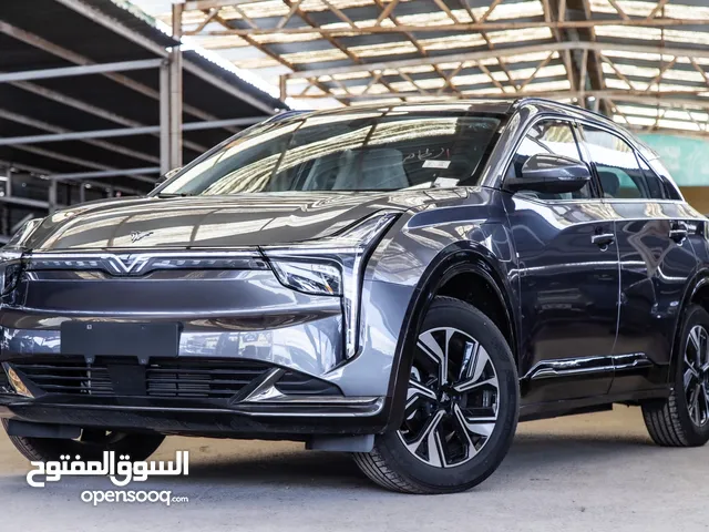 Neta U Pro 2023 500 km
