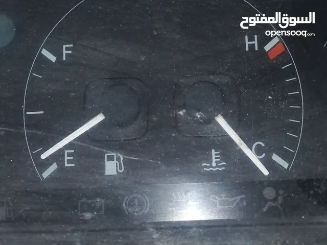عينة بطة للبيع