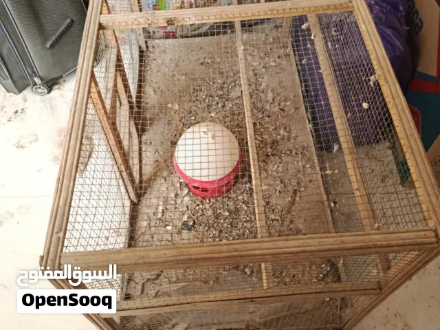 قفص يرهم حمام وافراخ دجاج