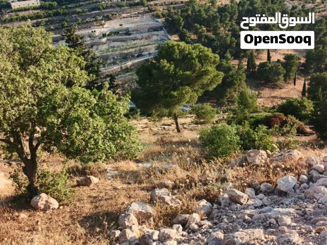 Mixed Use Land for Sale in Hebron Dura