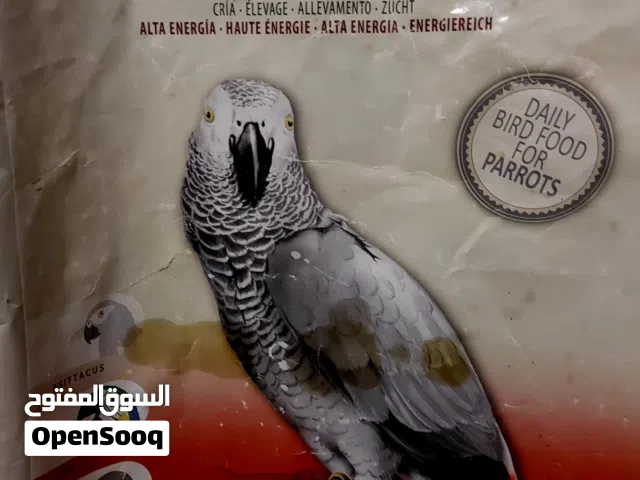 مطلوب للشراء طعام ببغاء