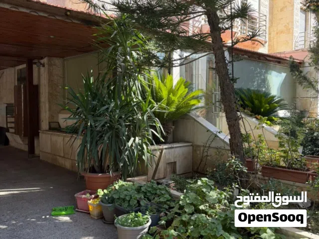 شقة للايجار