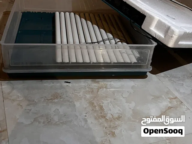 حضانه 130بيضه