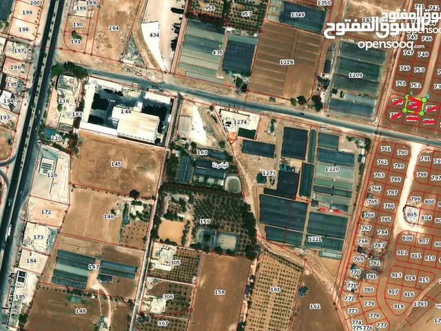 قطعة ارض في اليادودة منطقة فلل جنوب عمان للبيع بسعر مغري