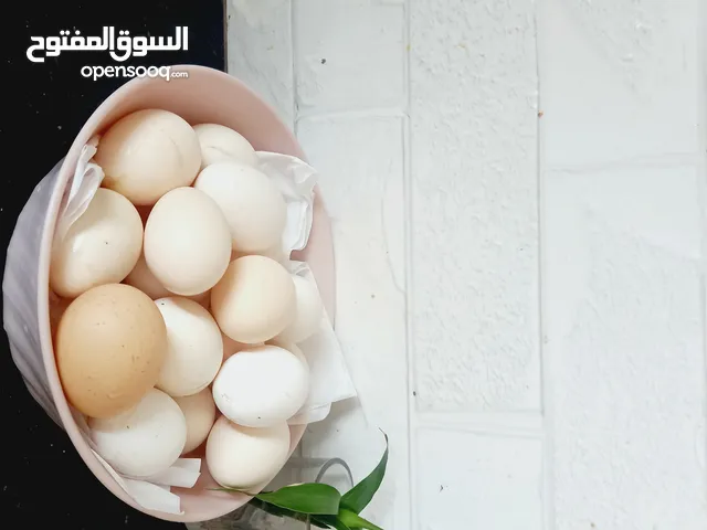 بيض عماني للبيع بريالين كرتون