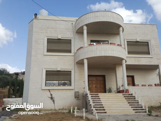 فيلا مميزه ومطلة و مخدومة علا شارعين للبيع للبيع السعر جيد جدا